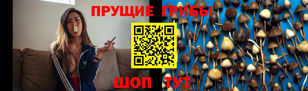 Галлюциногенные грибы MAGIC MUSHROOMS  Вход с VPN  Псилоцибиновые грибы MAGIC MUSHROOMS  Зима 