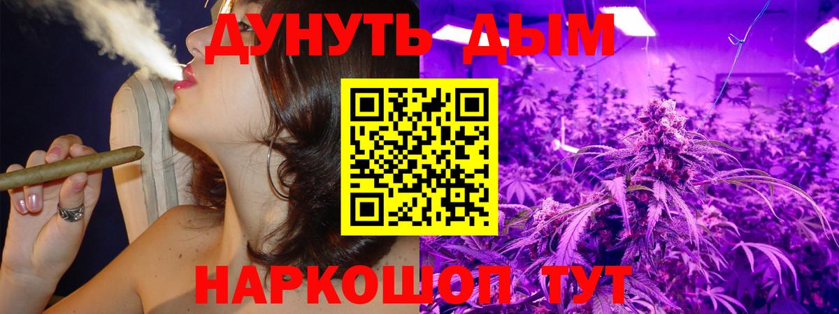 Шишки марихуана OG Kush  Вход с VPN  Марихуана сатива  Бошки Шишки марихуана  Марихуана план  Зима 